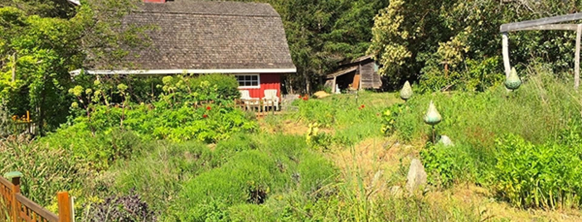 5 Truly Extraordinary Farms to Visit on San Juan Island Bird Rock Hotel